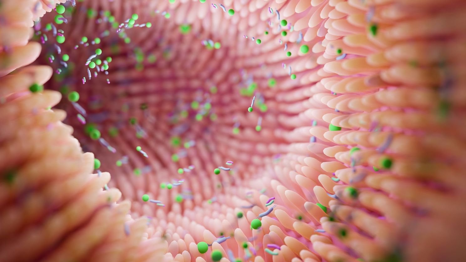 understanding the role of gut microbiome